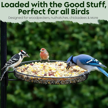 Woodpecker Bird Seeds for Outside Wild Birds - Premium Woodpecker Food with Sunflower Chips, Peanuts & Suet - Attract Woodpeckers & Songbirds - Bird Food for Outside Wild Birds - No Fillers (5LBS)