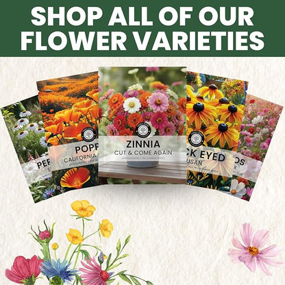 Zinnia ‘Cut and Come Again’ – 16,000 Seeds for Planting – 4 Ounce Pouch