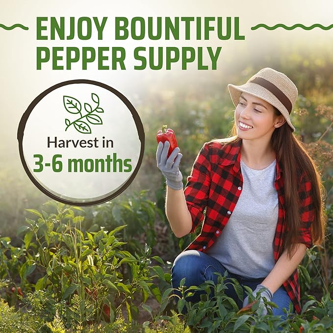 Rooted Acre 8 Varieties Hot Peppers – 240 Heirloom Seeds, High Germination – Includes Ghost, Jalapeño, Serrano, California Wonder & More – Spicy Pepper Garden Mix