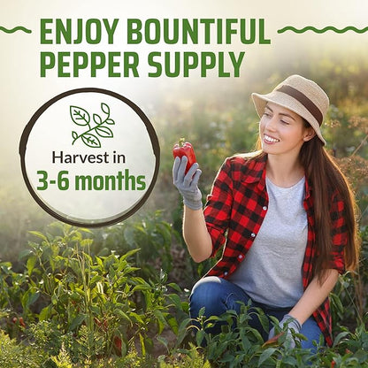 Rooted Acre 8 Varieties Hot Peppers – 240 Heirloom Seeds, High Germination – Includes Ghost, Jalapeño, Serrano, California Wonder & More – Spicy Pepper Garden Mix