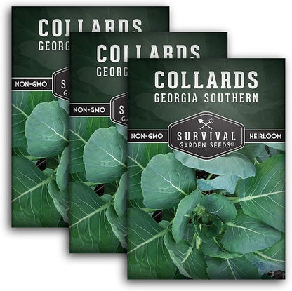 Collard Green Seeds for Planting | Georgia Southern Heirloom Non-GMO Variety | Leafy Greens for Home Vegetable Gardens - Survival Garden Seeds (3 Packs)