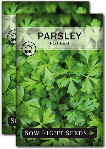 Sow Right Seeds - Flat Leaf Parsley Seed for Planting - Non-GMO Heirloom Packet with Instructions to Plant and Grow a Kitchen Herb Garden - Indoor or Outdoor - Great for Hydroponics Growing (2)