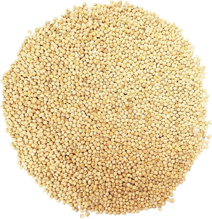 CountryMax Backyard Seeds White Millet Bird Seed for Finches 8 Pounds (8 Pounds)