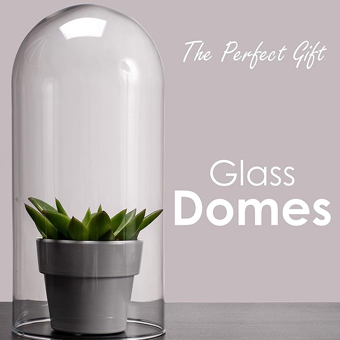 CYS EXCEL Glass Dome Cloche (H:13.75" D:5.75") | Multiple Sizes Decorative Showcase Display for Antique Collectibles | Bell Jar Terrarium & Dessert Cover