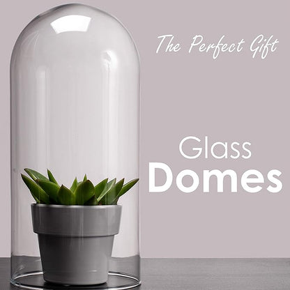 CYS EXCEL Glass Dome Cloche (H:13.75" D:5.75") | Multiple Sizes Decorative Showcase Display for Antique Collectibles | Bell Jar Terrarium & Dessert Cover