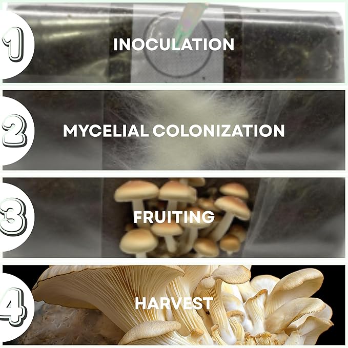 Premium Ready-to-Use Mushroom Substrate - 5 LB Mix with Coco Coir, Vermiculite, Gypsum, Sterilized Substrate Ideal for Mushroom Growing