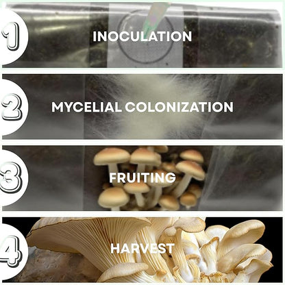 Premium Ready-to-Use Mushroom Substrate - 5 LB Mix with Coco Coir, Vermiculite, Gypsum, Sterilized Substrate Ideal for Mushroom Growing