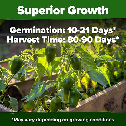 HOME GROWN Jalapeno Pepper Seeds – 258 Heirloom Seeds (Capsicum annuum) – High Germination, Easy to Grow, Early Harvest Hot Peppers