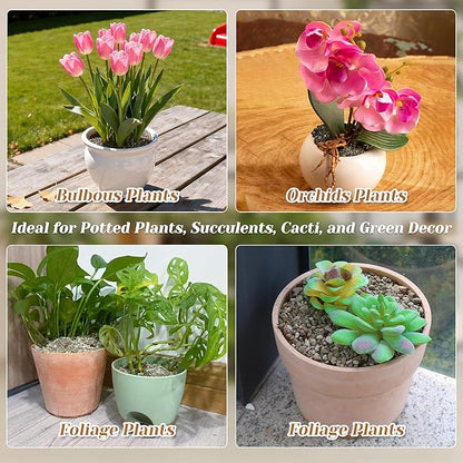 Horticultural Pumice for Plants, 3 Quarts Bag （4.4IB） Natural Soil Amendment, 1/4" Particle Size for Succulent, Cactus, Bonsai Tree, Orchid Potting Mix