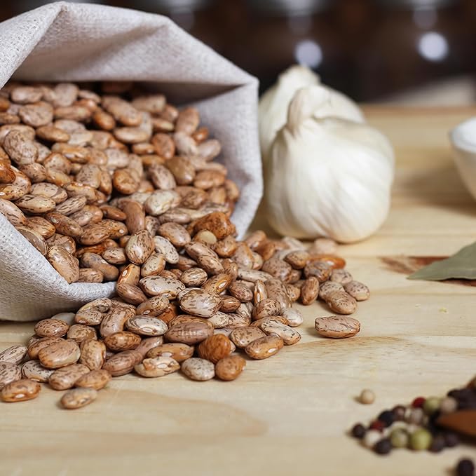 Purely Organic Pinto Bean Seeds - USDA Organic, Non-GMO, Open Pollinated, Heirloom, USA Origin (1 Packet - 20 Grams - Approx 36 Seeds)