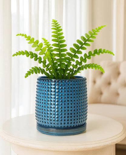 D'vine Dev 6 Inch Ceramic Beaded Stoneware Planter Pot - Flower Pot with Drainage Holes and Saucers for Indoor Succulent Plants or Flowers, Ocean Teal, 27-C-X-8