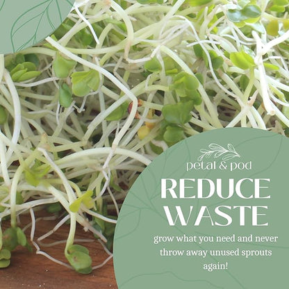 Petal & Pod Microgreens & Sprouting Seeds - Broccoli, Alfalfa, Radish, Mung Bean & Salad Mix Variety Pack for MicroGreens Growing Kit and Sprouting Jars