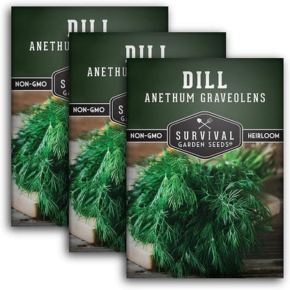 Dill Seeds for Planting – Bouquet Dill Seed to Plant for Pickling & Fresh Cooking, High Germination Non-GMO Heirloom Herb for Outdoor Growing – Survival Garden Seeds (3 Packs)