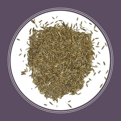 Pennington Annual Ryegrass Grass Seed 10 lb