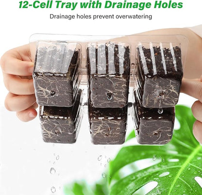 Bonviee 10 Packs Seed Starter Tray with Drainage Holes, Reusable & Durable, Clear for Root Monitoring, Easy to Repotted Without Root Damage, 6 Cells per Tray