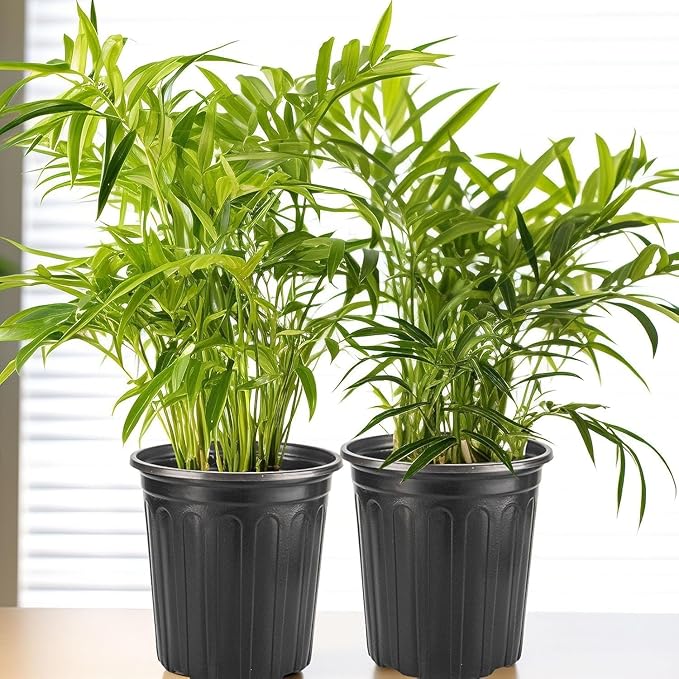 12Pack 3 Gallon Flexible Plant Nursery Pots, Soft Plastic Seedling Pots, Seed Starting Pot Flower Plant Container for Succulents, Cuttings, Transplanting Seedlings - Black