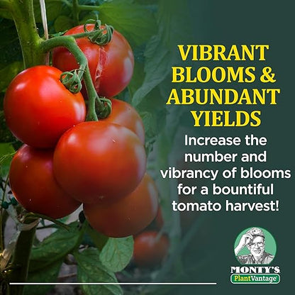 PlantVantage Concentrated Tomato Plant Food – Liquid Fertilizer with Humic Acid & Zinc, Liquid Plant Food Supporting Strong Roots, Bigger Blooms & Higher Yields, Easy Root Feed or Foliar Spray – 1 Gal