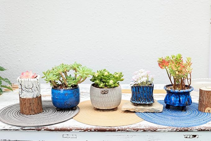 Arktiva Ceramic Planter Pots w/Drainage, 3 Inch Set of 2, Indoor Outdoor Home Patio Garden Plants Flower Succulent, Crackle-Texture Square
