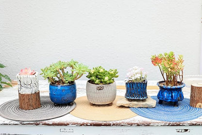 Arktiva Ceramic Planter Pots w/Drainage, 3 Inch Set of 2, Indoor Outdoor Home Patio Garden Plants Flower Succulent, Crackle-Texture Square