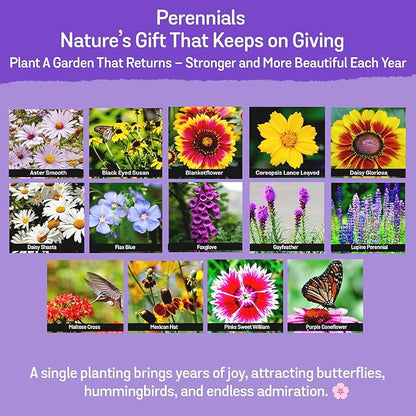 NatureZ Edge Wildflower Seeds Mix – 1/4 lb, 170,000 Seeds, 35 Variety Perennial & Annual Flower Seeds to Plant Outside, Bulk Wildflower Seeds, Wild Flower, Semillas de Flores