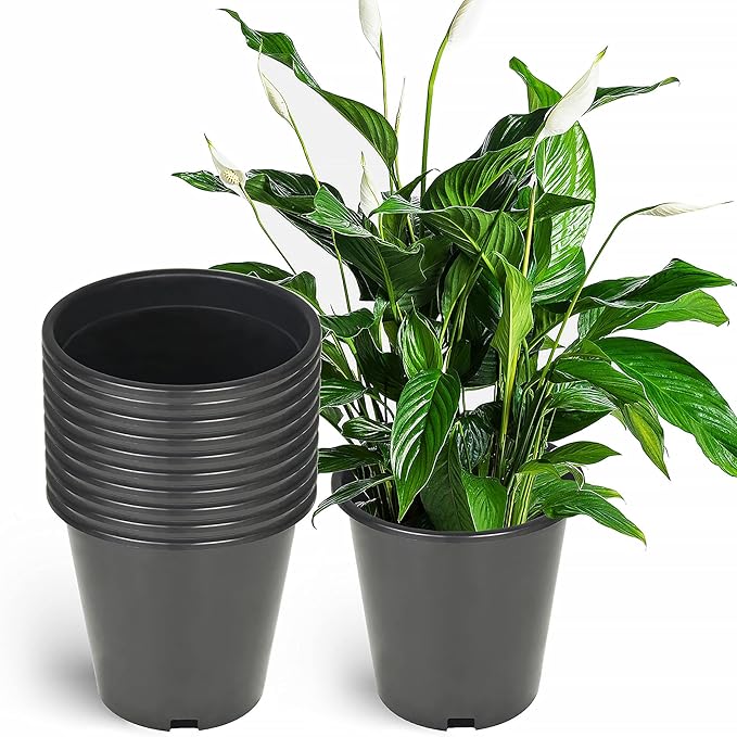 Planter Nursery Pots 1.6 Gallon Pots for Plants, Injection Molded Plastic Nursery Pots, Plant Container 1.6 Gal 10-Pack