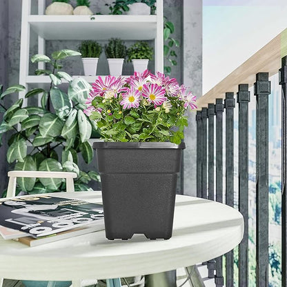 10 Pack Square Planter Nursery Pots 0.63 Gallon Pot for Plants, Square Black Grower Pot with Drainage Hole for Nursery Garden, Bulk Planter Flower Pots