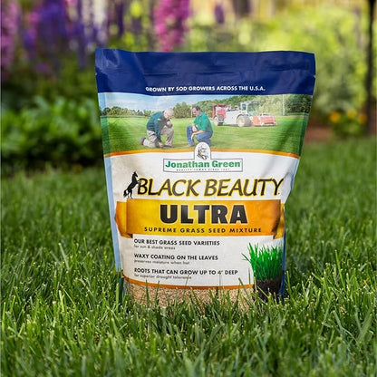 Jonathan Green (10322) Black Beauty Ultra Grass Seed - Cool Season Lawn Seed (7 lb)