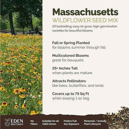 Eden Brothers Massachusetts Wildflower Mixed Seeds for Planting, 1 oz, 30,000+ Seeds with Catchfly, Sweet William | Attracts Pollinators, Plant in Spring or Fall, Zones