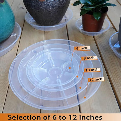 Plant Saucer 4 6 8 10 12 inch, 6 Packs Clear Planter Saucers Pot Trays, Durable Round Plastic Flower Plant Water Drip Tray for Pots, Plant Dish Plate to Catch Water for Indoor & Outdoor ( 6 inch)