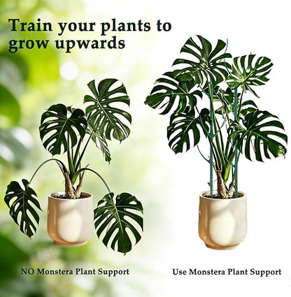 5PCS Monstera Plant Support, Stackable Plant Stakes for Indoor Plants, Plant Sticks Support Tall for Climbing Potted Plants