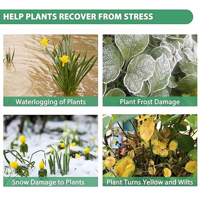 Organic Original Seaweed Booster, Plant Nutrient Concentrate, Kelp Lawn and Plant Liquid Fertilizer for All Indoor & Outdoor Plants, Non-Toxic and Safe, Help Plants Recover from Stress