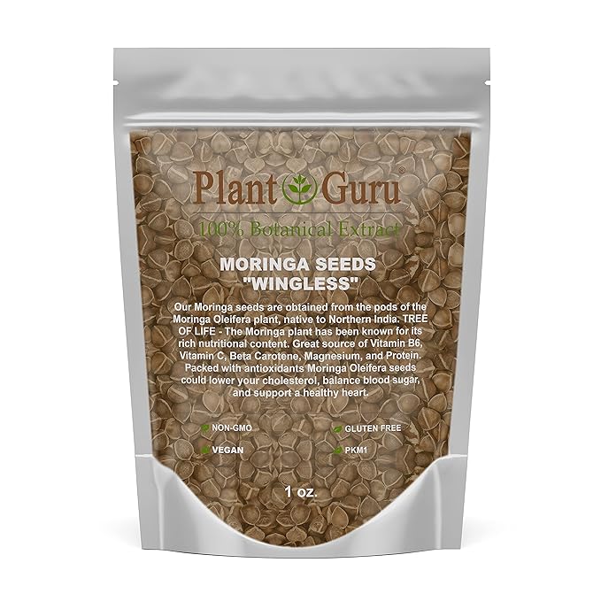 Moringa Seeds Wingless 1 oz. - PKM1 Variety - Edible Snacking - Planting - Moringa Oleifera - Malunggay - Semillas De Moringa - Drumstick Tree - Non-GMO - 100 to 125 Seeds