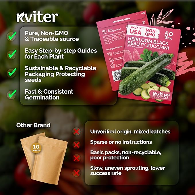KVITER 50 Black Beauty Zucchini Seeds for Planting (Cucurbita Pepo) – Non-GMO Heirloom Vegetable Seeds, Open Pollinated – Summer Squash for Outdoors Planting in Garden, Raised Mounds, Containers