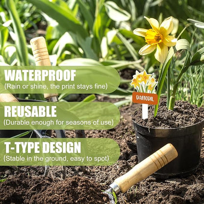 20 Pcs Acrylic Flower Plant Label Signs 20 Style Plant Stake Tags with Names Waterproof Herb Garden Markers Reusable Labels Markers for Seedlings Nursery Garden Succulent Flowers Greenery
