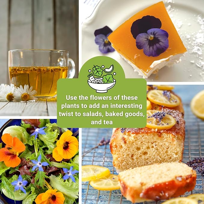 Sow Right Seeds - Edible Flower Seed Collection for Planting - Individual Packets Nasturtium, Pansy, Lavender, Chamomile, Calendula, Violet, and Borage, Non-GMO Heirloom Seed to Grow a Flower Garden