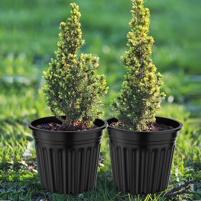 50 Pcs 5 Gallon Planter Nursery Pots, Seed Starting Pot Plastic Flower Seedling Pots with Drainage Holes Flexible Plant Container for Indoor Outdoor Garden Lawn Yard Plants Seedlings (50, 5 Gallon)
