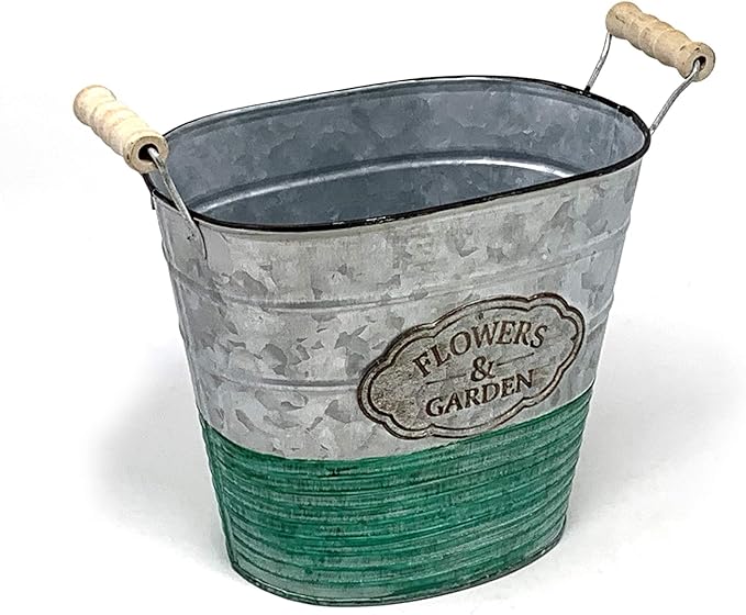 allgala Galvanized Planter Pot Indoor and Outdoor Decoration-Oval-8"-HD88302A