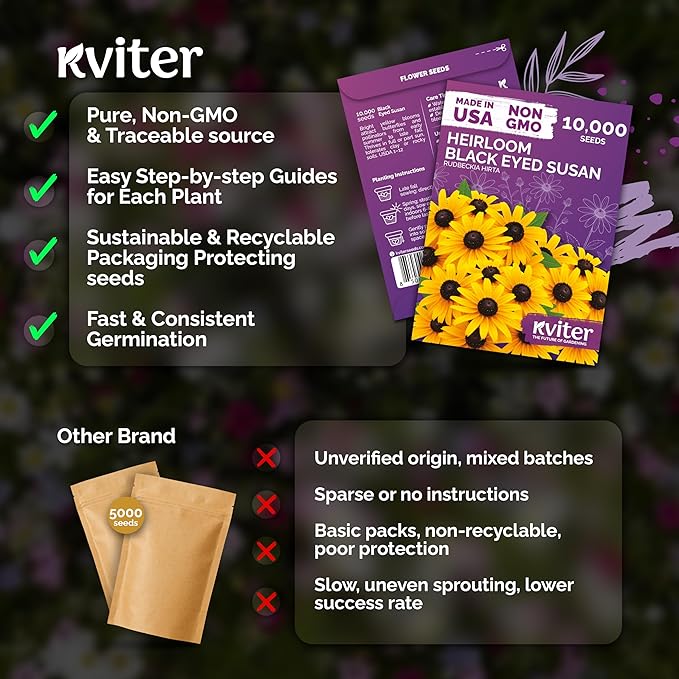 KVITER 10,000 Black Eyed Susan Seeds for Planting (Rudbeckia hirta) – Gloriosa Daisy Wildflower Seed, Heirloom, Non-GMO & Organic – Flower Seeds to Plant Outside & Inside, Borders, Containers