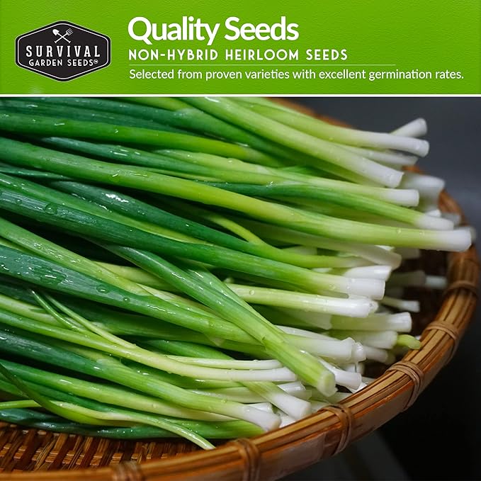 Onion Seeds 4 Variety Collection – Bunching, Red Burgundy, White Grano & Walla Walla Sweet Onions for Planting a Home Garden – Heirloom, Non-GMO Seed Packs – Survival Garden Seeds