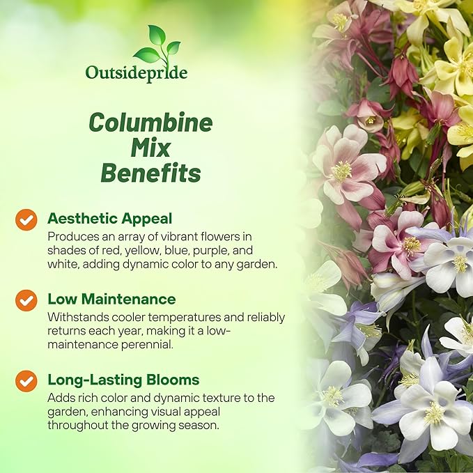 Outsidepride Mixed Columbine Seeds - 2000 Pcs Perennial, Easy to Grow Flower Seeds for Planting, Suitable for Pollinator-Friendly Garden, Cut Floral Arrangements, Ground Covers, or Borders