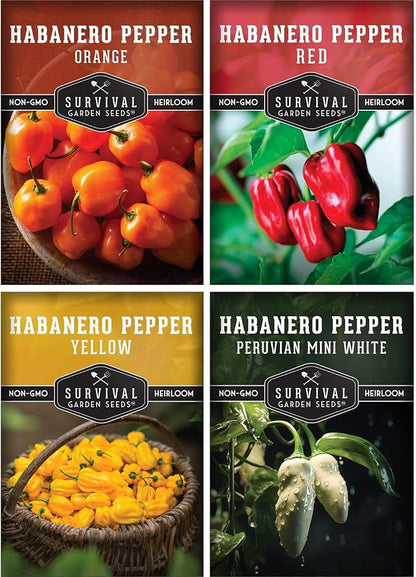Habanero Pepper Seeds for Planting Variety Pack – 4 Varieties: Red, Orange, Yellow, & Mini White Extremely Hot Chili Peppers, Heirloom Non-GMO Open-Pollinated – Survival Garden Seeds