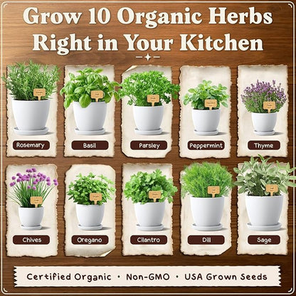Seedboy Organic 10 Herb Garden Starter Kit for Planting Indoor or Outdoor, Non-GMO USDA Certified Seed, Cool Unique Gift for Gardeners, Mom Birthday, Friends, Plant Lovers (Herb Garden Starter Kit)