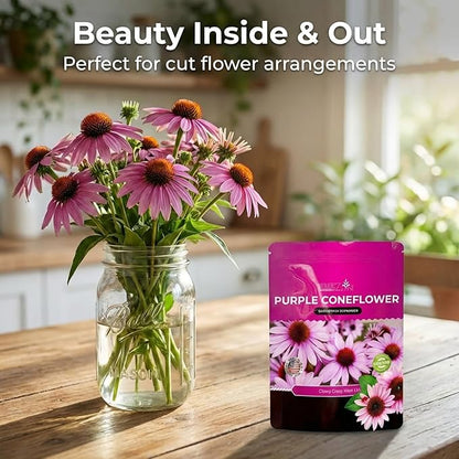 Echinacea Seeds, Purple Coneflower Seeds, Over 2300 Echinacea Seeds for Planting, Non-GMO, Open Pollinated, Heirloom Flower Seeds