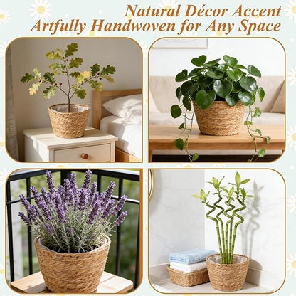 2PCS Seagrass Plant Basket for Indoor and Outdoor,Wicker Planter Basket with Liner for 6 inch Pot,Indoor Plant Pot Covers for Potted Plants, Rattan Storage Baskets for Rustic Boho Farmhouse Decor