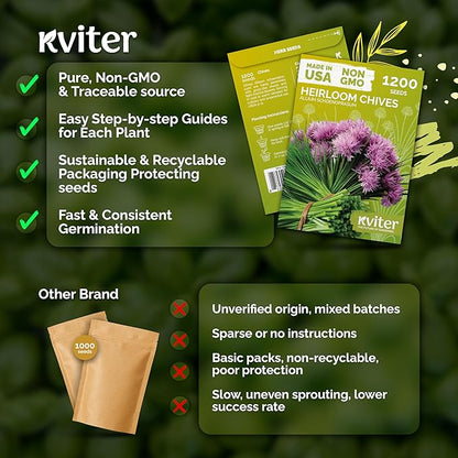 KVITER 1200 Chive Seeds (Allium schoenoprasum) - Know as Onion or Garlic Chives Chives, Mild Flavor -Non GMO & Heirloom Herb Seeds for Planting in Outdoor & Indoor Garden, Borders, Containers