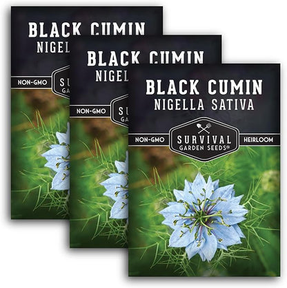 Survival Garden Seeds Black Cumin Seed for Planting - 3 Packets with Instructions to Plant and Grow Beneficial Nigella Sativa Plants in Your Home Vegetable Garden - Non-GMO Heirloom