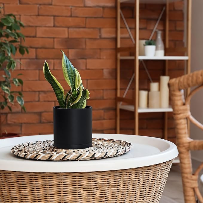 D'vine Dev 2 Pack 6 Inch Modern Plastic Plant Pots, Small Garden Planters for Plant with Drainage Holes and Saucers, Black Color, 74-Y-J-1
