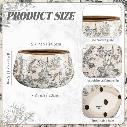 7.8 Inch Large Vintage Ceramic Planter Ice Crack Glaze Gray Lily Floral Flower Pot with Drainage Hole Rustic Decorative Plant Pots Gifts for Home Kitchen Office Indoor Outdoor Plants