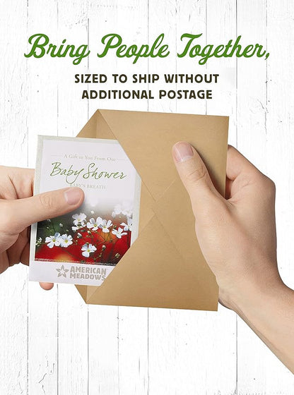 American Meadows Wildflower Seed Packets Baby Shower Party Favors (Pack of 20) - Baby's Breath Wildflower Seed Packet Favors for Baby Showers and Sprinkles, Great Gift for Hostesses