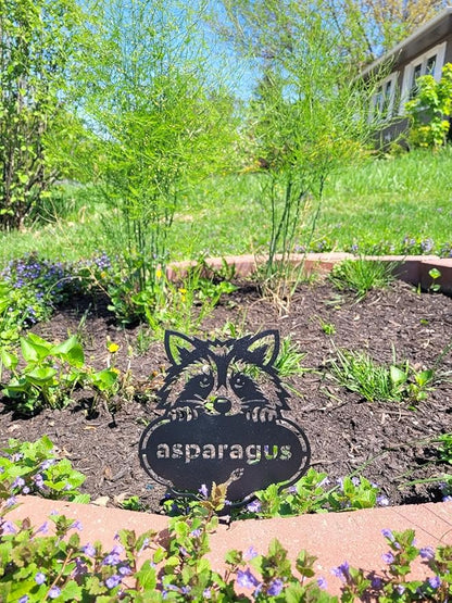 RealSteel Rocky The Raccoon Plant Markers – Cute Metal Garden Labels for Herbs & Vegetables | Outdoor Steel Plant Stakes for Garden, Greenhouse & Raised Beds | Gardening Gift | USA (RADISH-B-6X13)